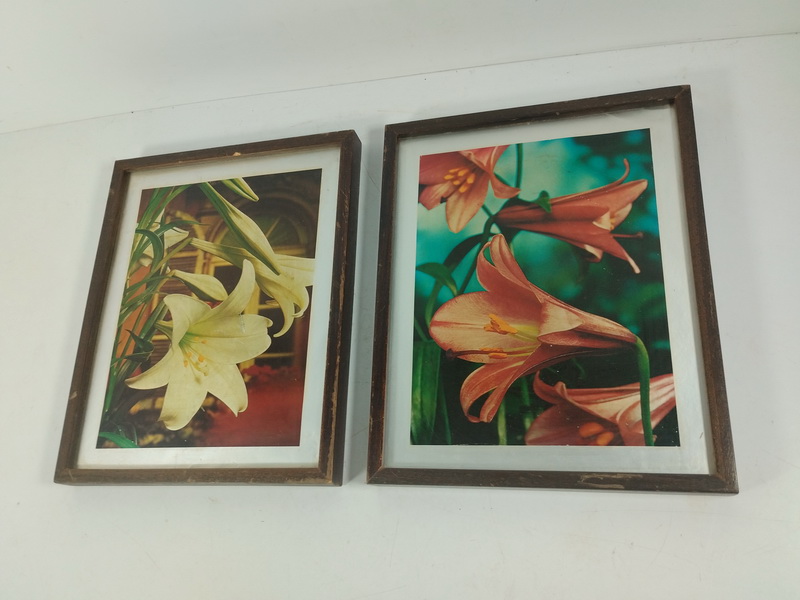 cuadro foto flores metalizado 27.5x34x2.6 t5u